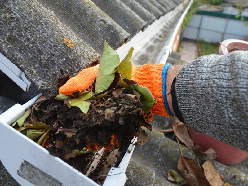 Taket ditt trenger stell – her er grunnene til at takvask bør være rutine