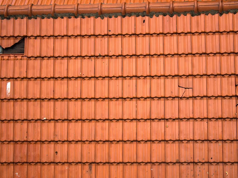 Vedlikehold av tak i Oslo – årshjul og sjekkliste